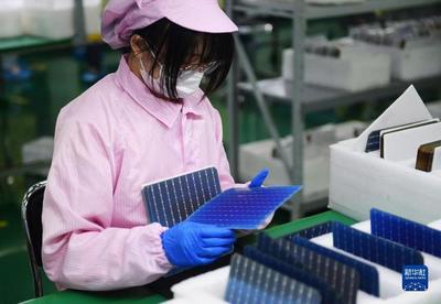 绿色引擎驱动高质量发展——福建泉州与中科国凰科技的创新实践
